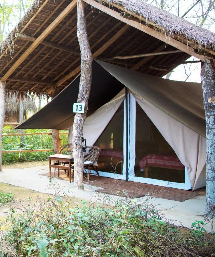 Tiger Tops Tharu Lodge Chitwan Exterior foto