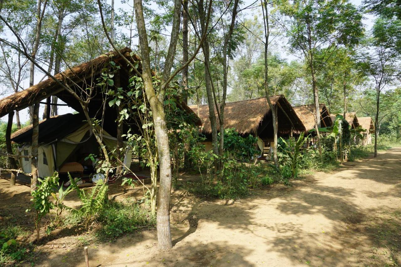 Tiger Tops Tharu Lodge Chitwan Exterior foto
