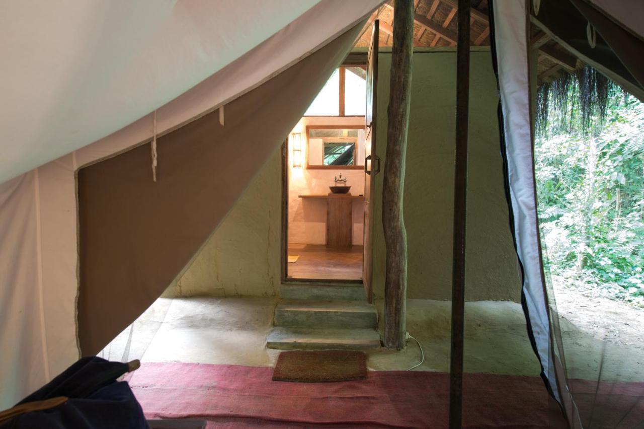 Tiger Tops Tharu Lodge Chitwan Exterior foto