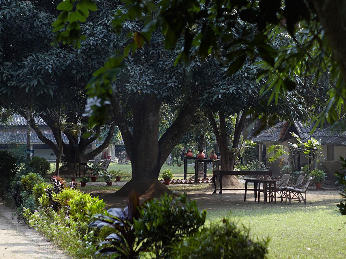 Tiger Tops Tharu Lodge Chitwan Exterior foto