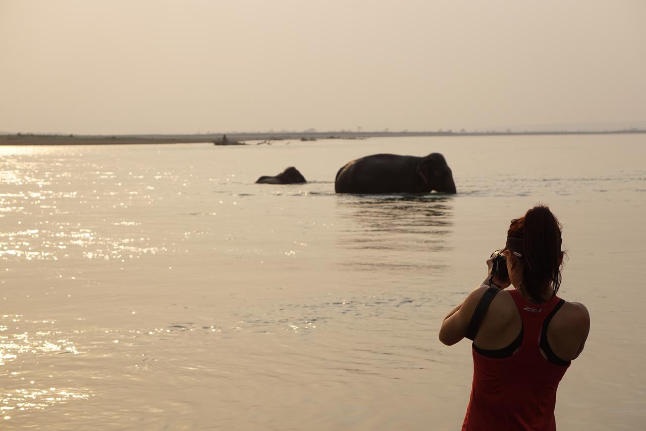 Tiger Tops Tharu Lodge Chitwan Exterior foto