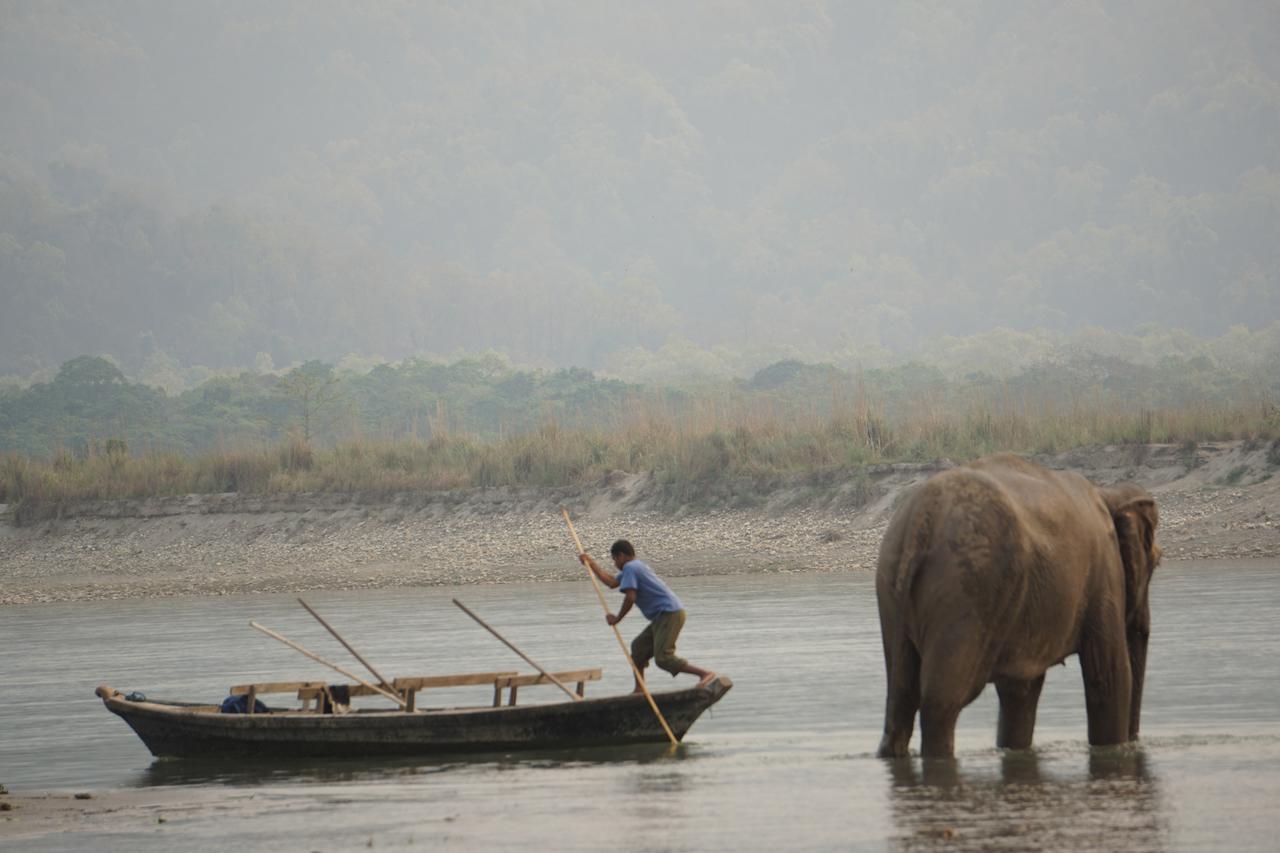 Tiger Tops Tharu Lodge Chitwan Exterior foto