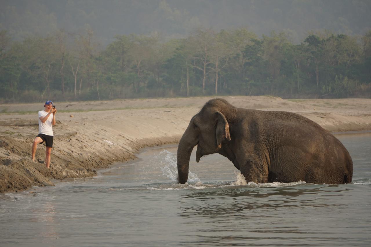 Tiger Tops Tharu Lodge Chitwan Exterior foto