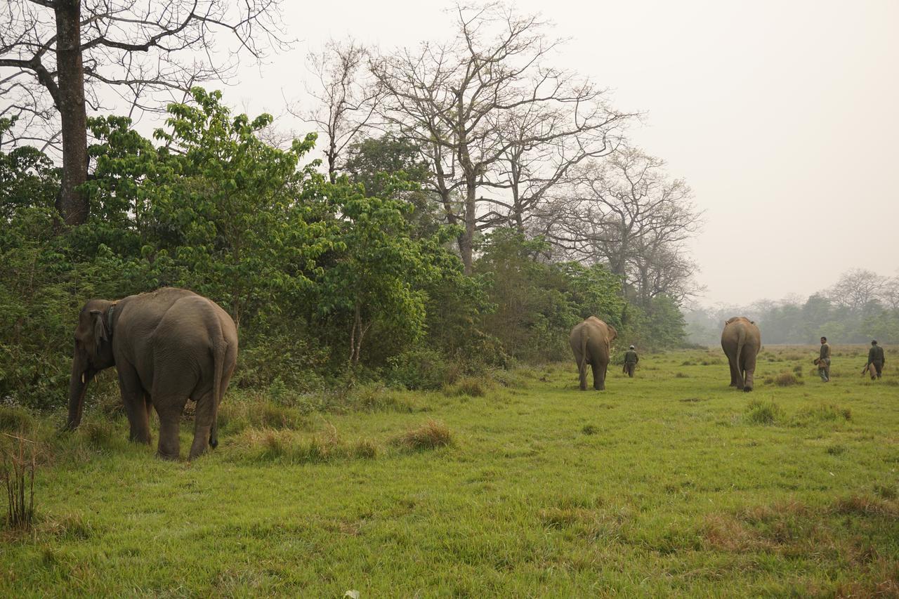 Tiger Tops Tharu Lodge Chitwan Exterior foto