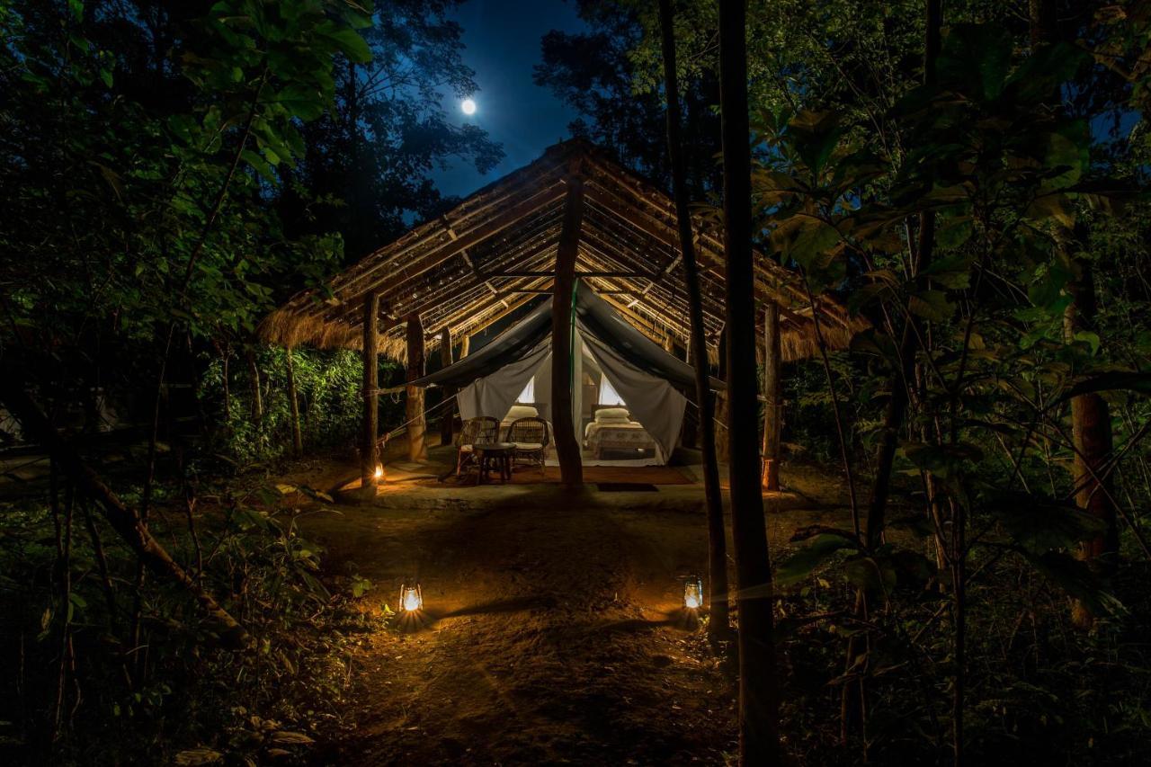 Tiger Tops Tharu Lodge Chitwan Exterior foto