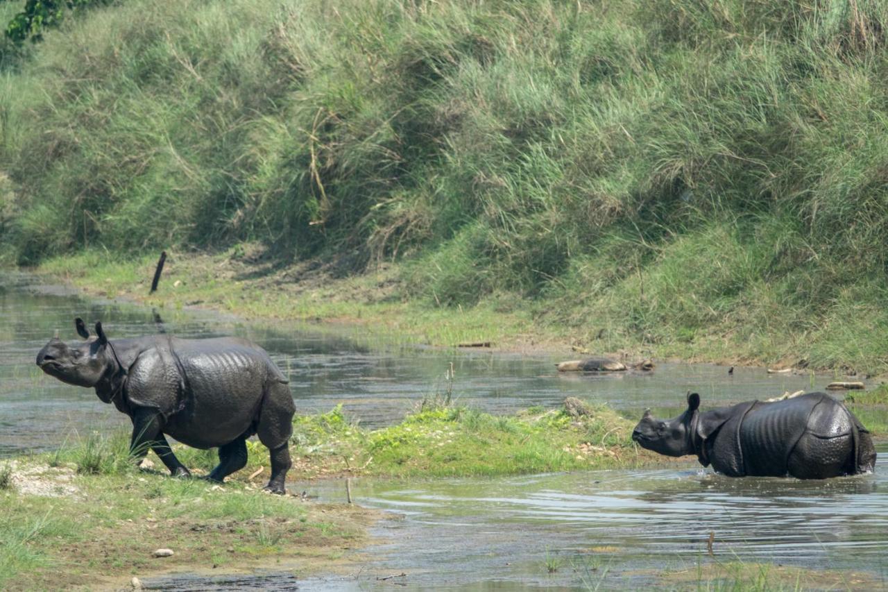 Tiger Tops Tharu Lodge Chitwan Exterior foto